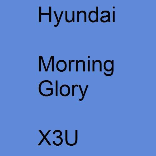 Hyundai, Morning Glory, X3U.